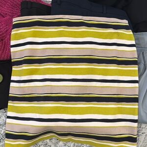Ann Taylor skirt